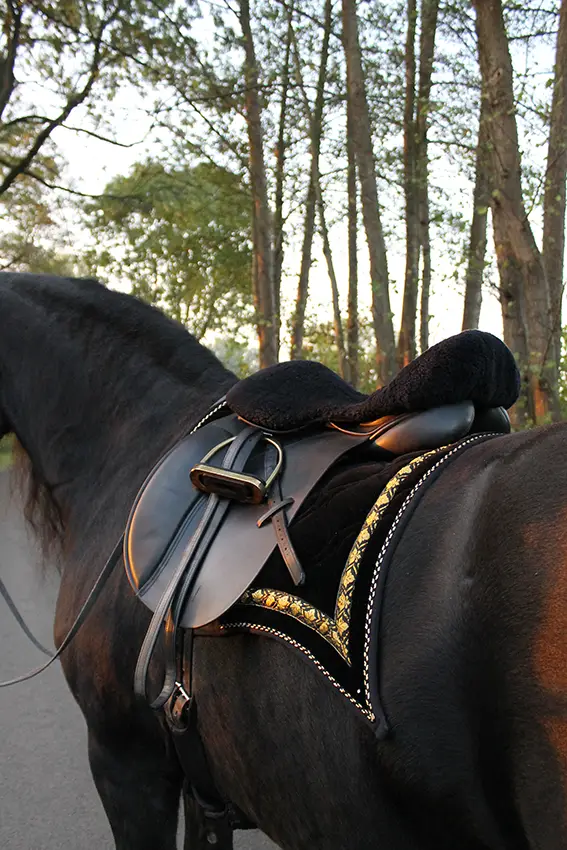 Pferd mit Schabracke